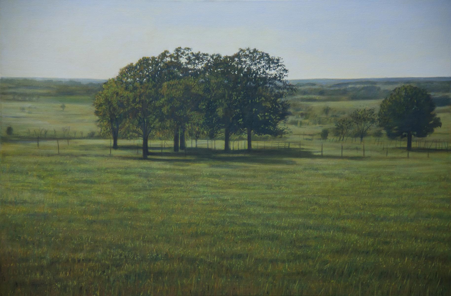 "Sunlight Over the Meadow "    32" X 48"    oil on canvas