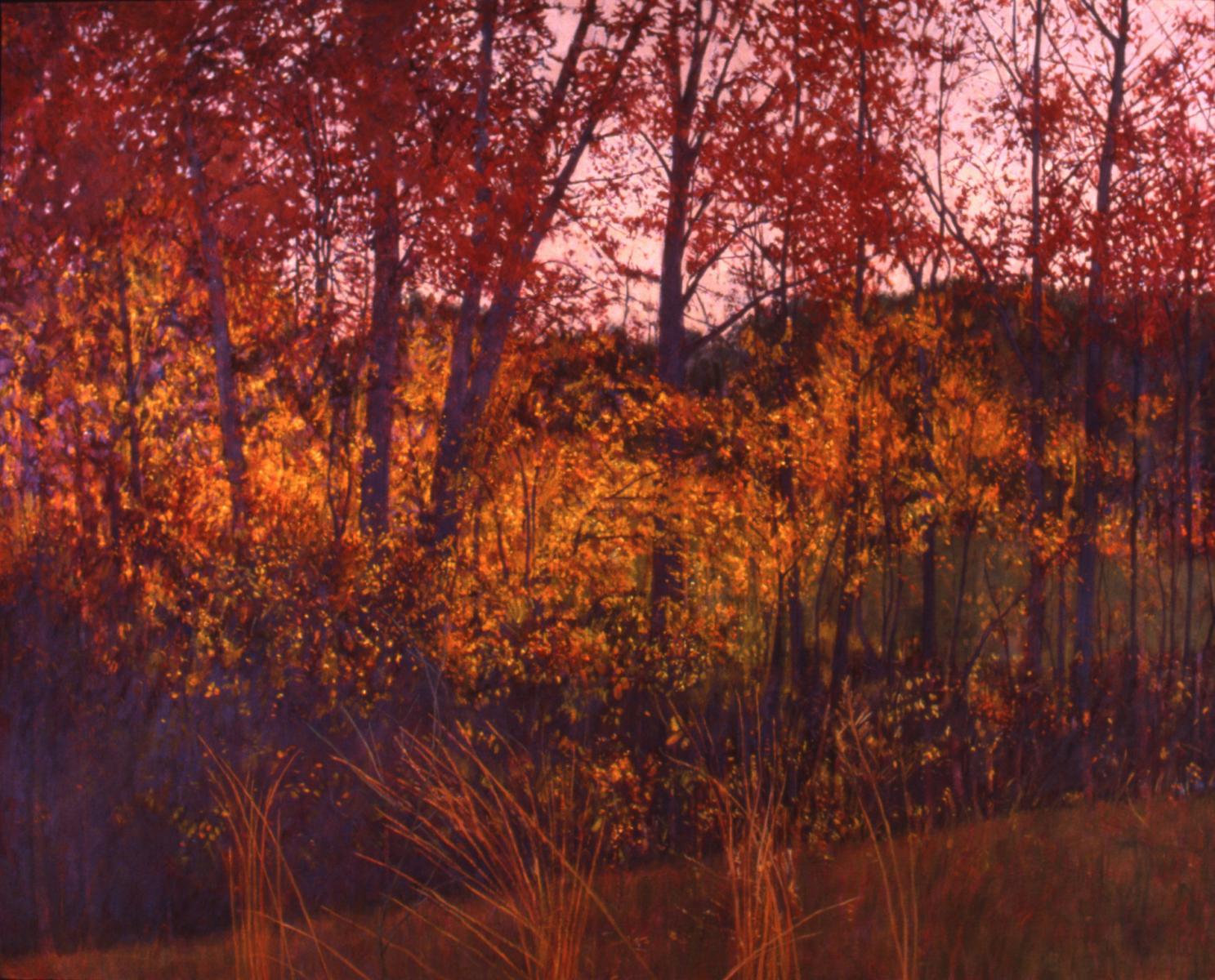 "Autumn Jewels"  40" X 50"  oil on canvas
