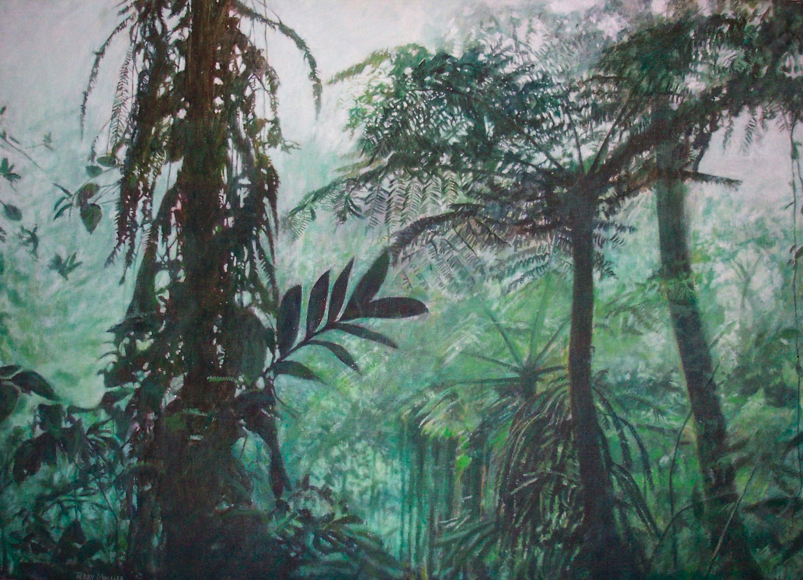 "Monte Verde Cloud Forest, Costa Rica"  20" X 24"  oil on canvas