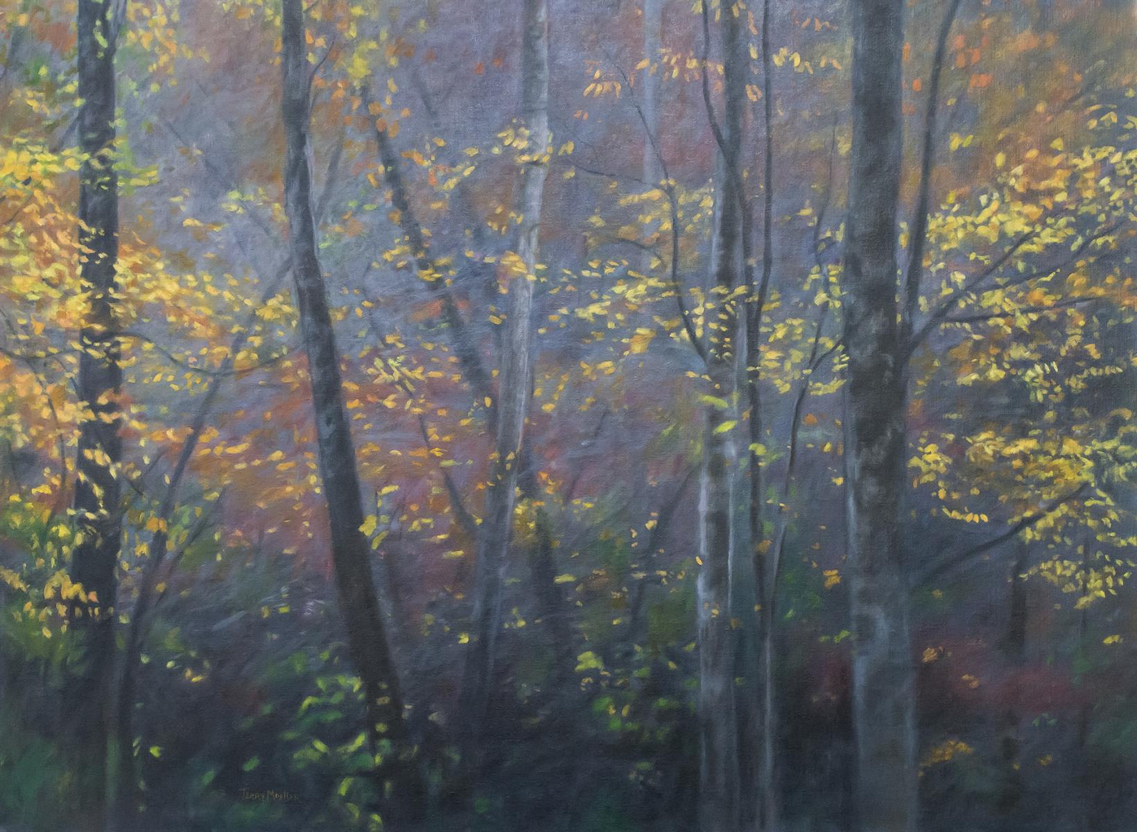 "Morning Light in the Forest"  30" X 40"  oil on linen