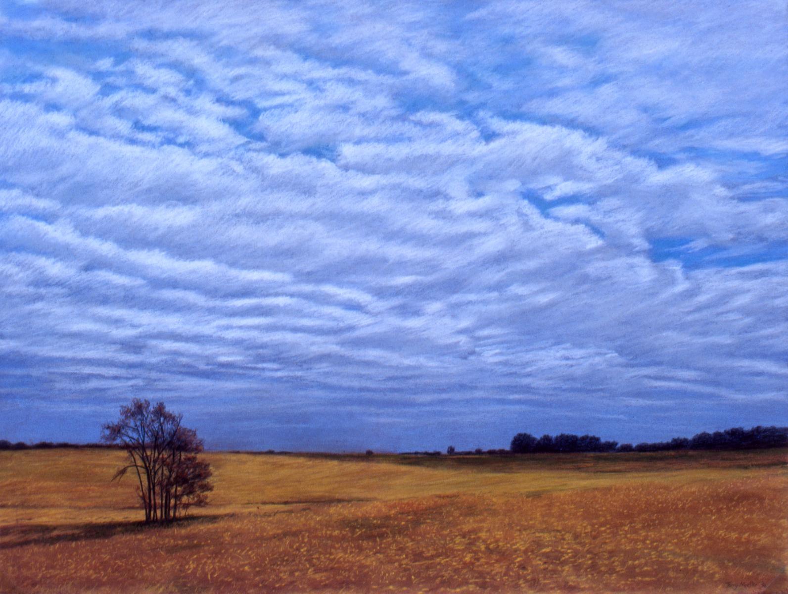 "Passing Clouds"    22" X 30"   pastel on paper