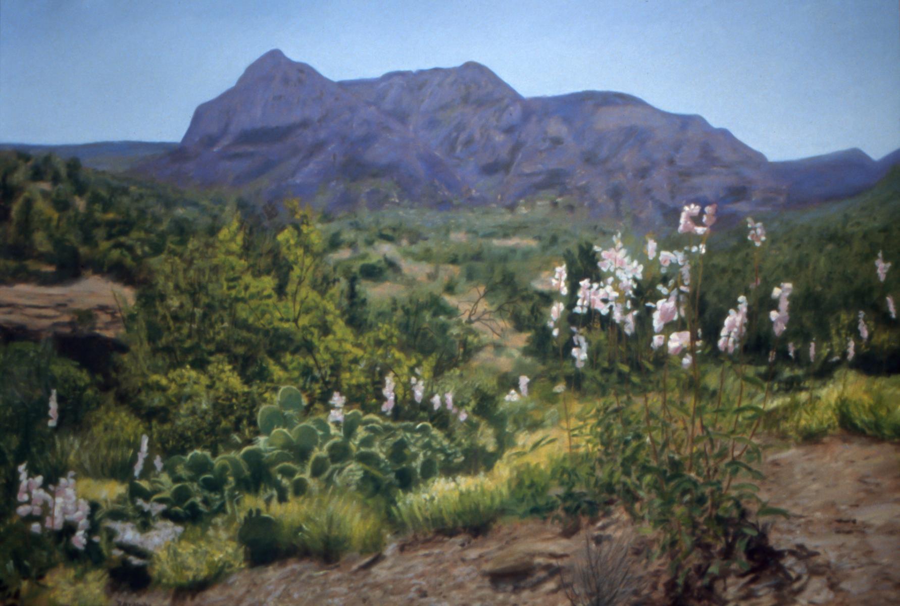"Desert Flowers"   29" X 42"   oil on paper