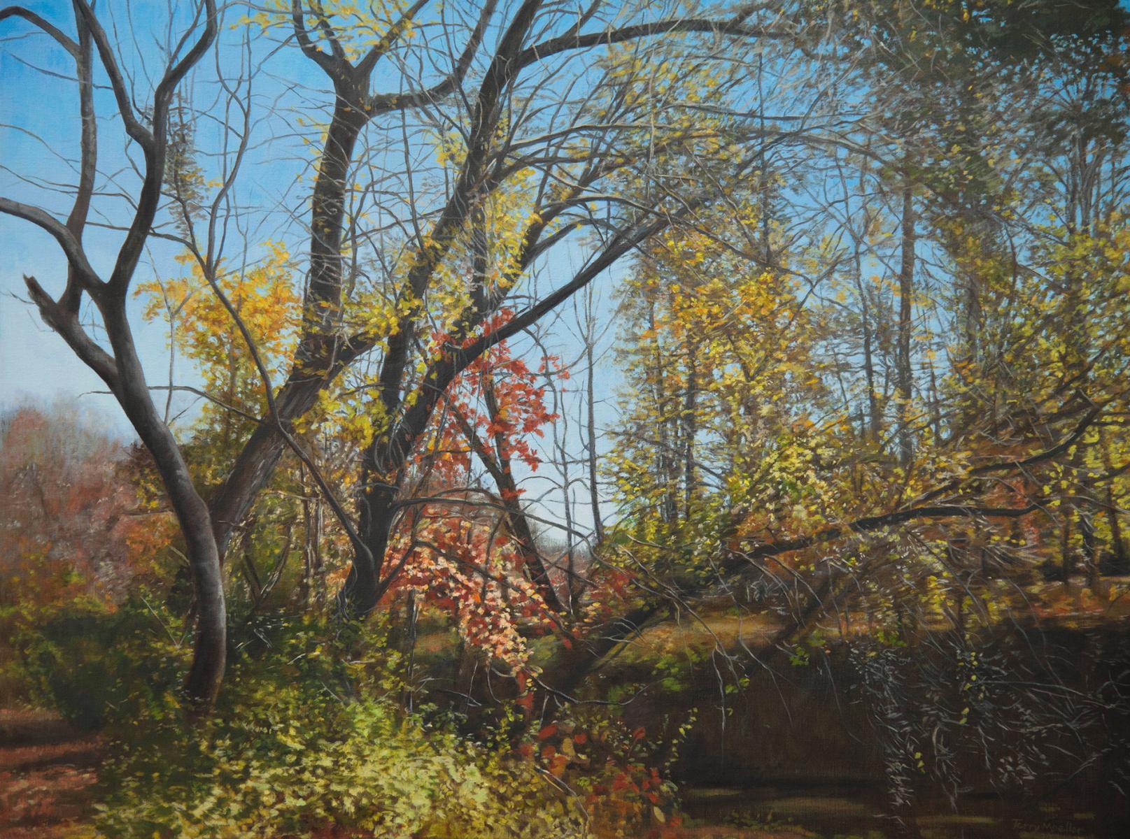"The Old Tree by the Creek"   30" X 40"   oil on linen