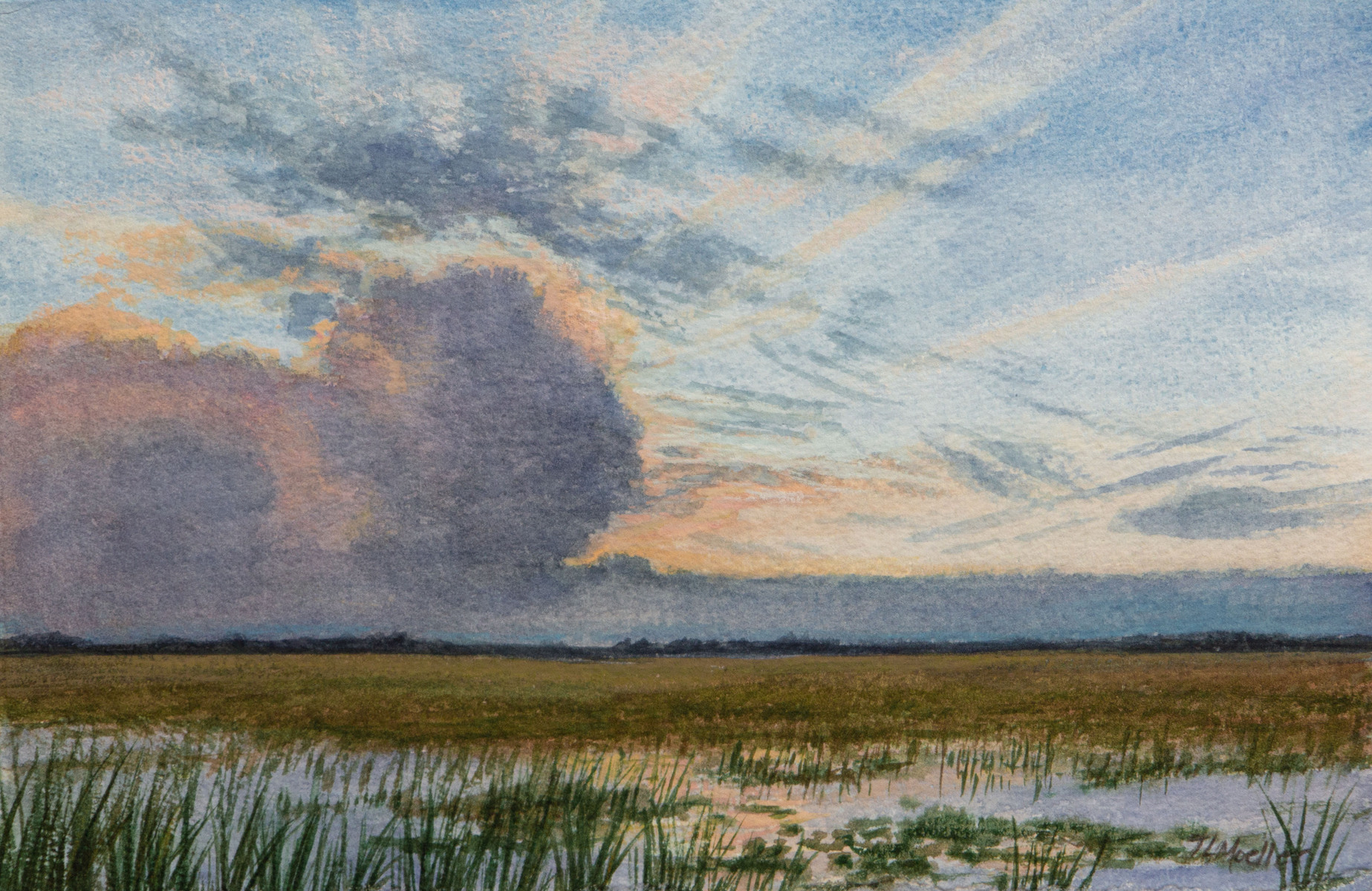 "Marsh at Sunset"    7.5" X 11"    watercolor on 300 lb. watercolor paper