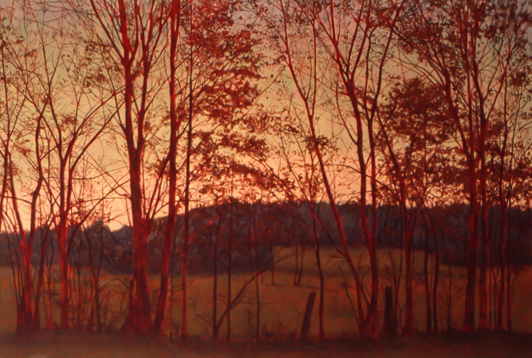 "Red Trees in Evening Light"  40" X 60"  oil on canvas