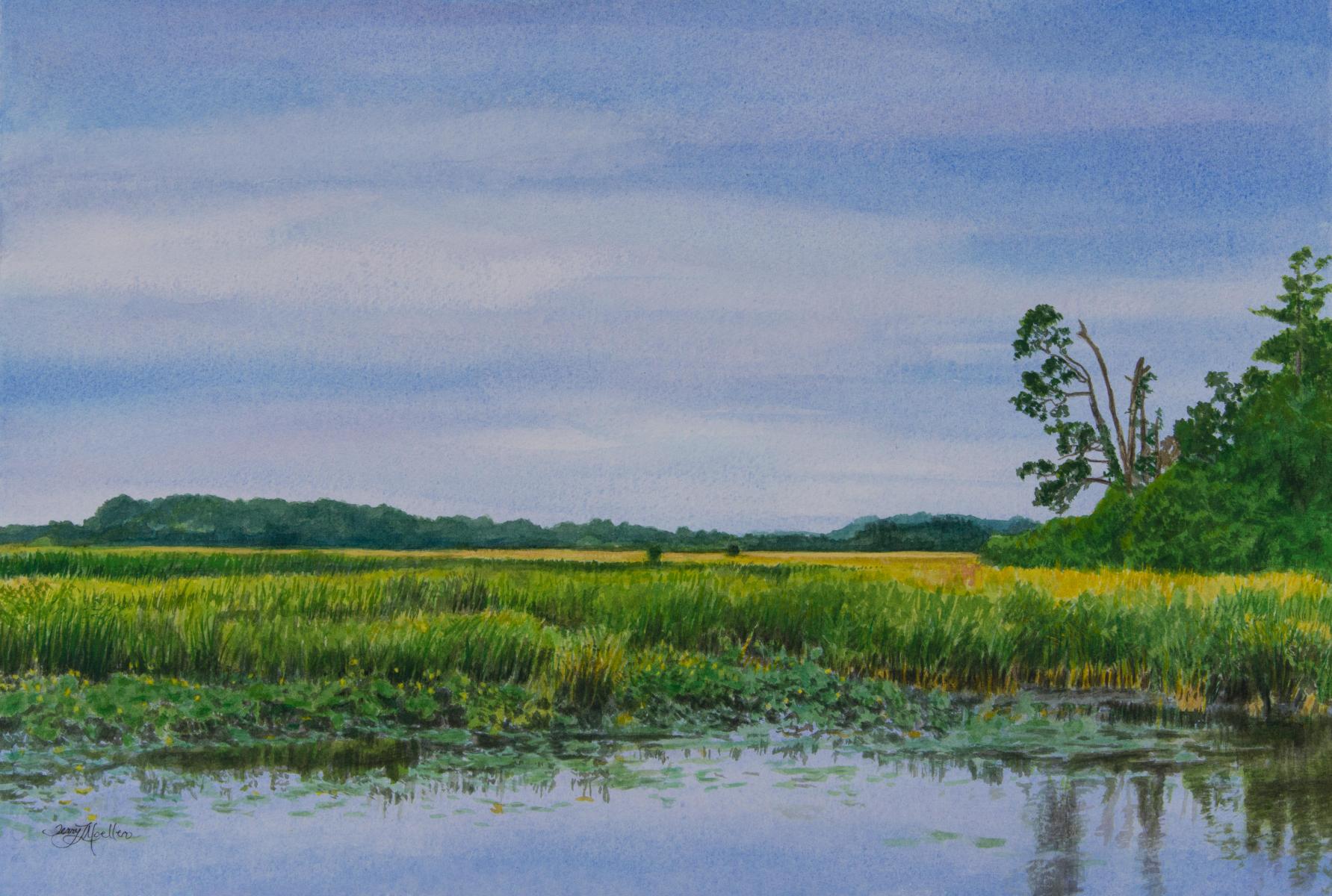 "A Rainy Day on the Marsh"   15" X 22"     watercolor on 300 lb. watercolor paper