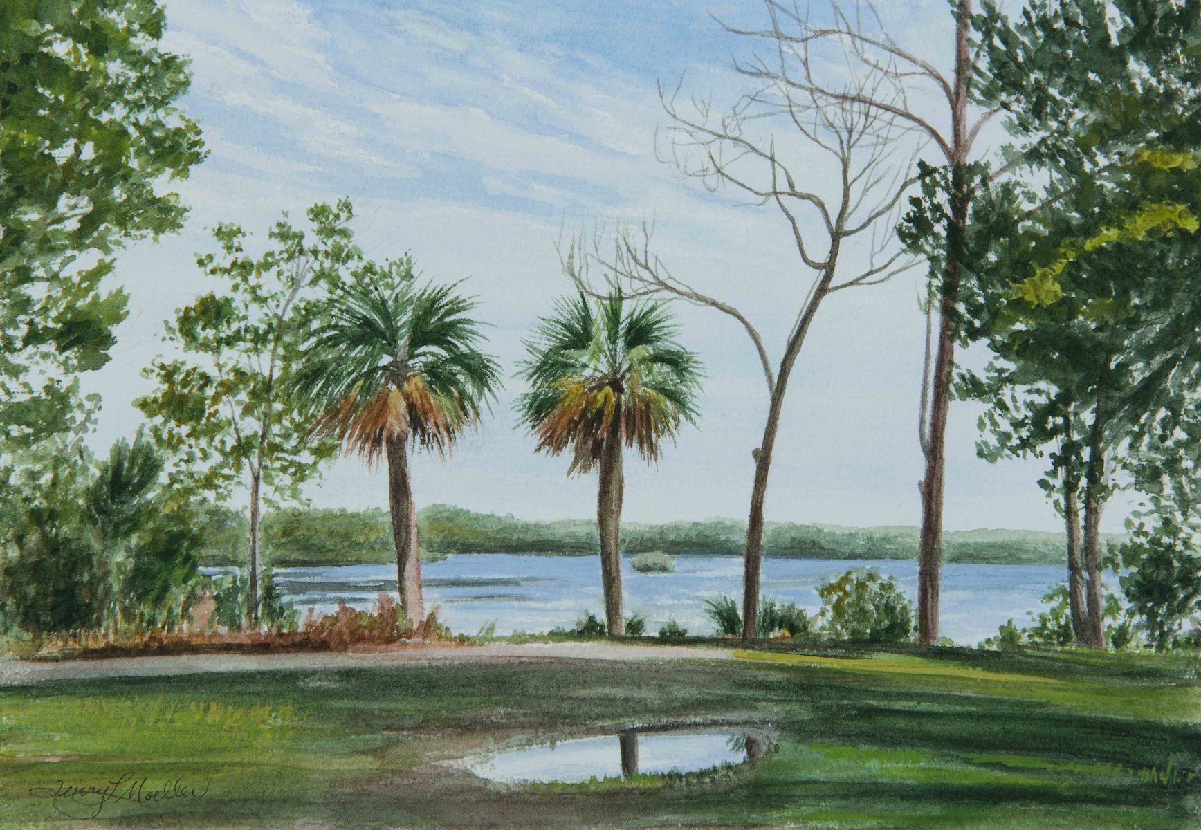"End of Ozello Trail, Florida"    7.5" X 11"    watercolor on paper