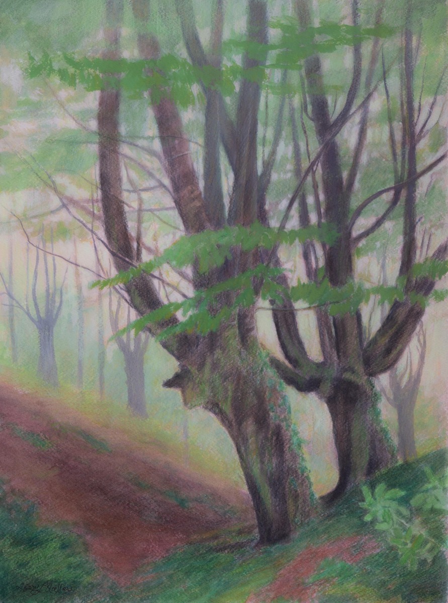 "Basque Forest in Morning Fog"     14.75" X 11"      mixed media over watercolor on 300 lb. watercolor paper
