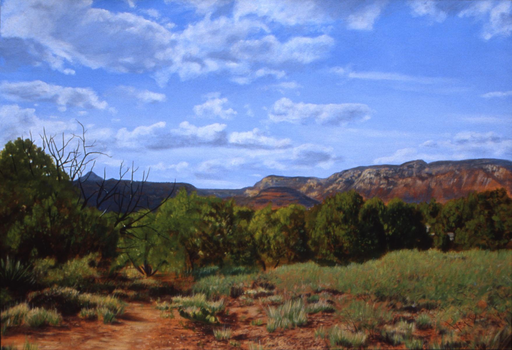 "Clouds Over Sedona"  22" X 30"  oil on paper
