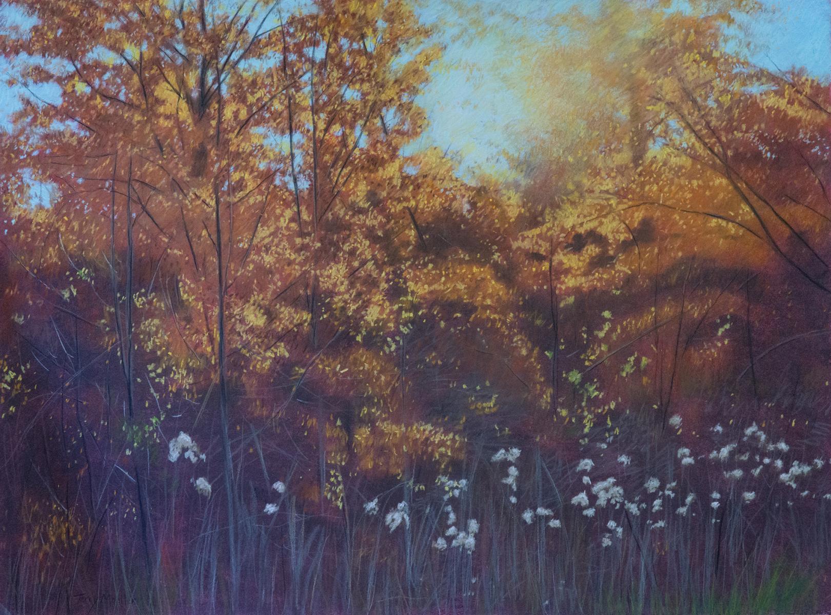 "Sunlight in the Forest"  22" X 30"  pastel on paper