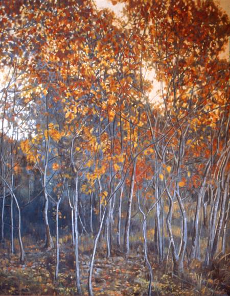 "Talla Trees"   40" X 50"   oil on canvas