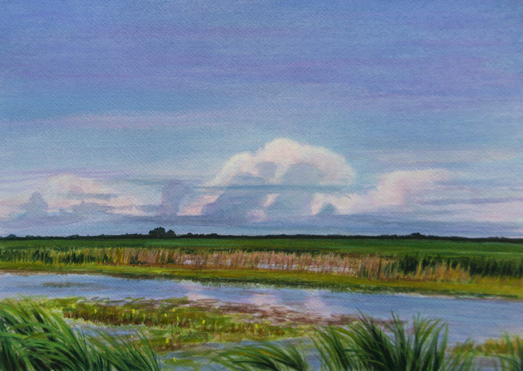 Early Evening, Lowcountry Marsh"     10" X 14"     watercolor and gouache on 300 lb. watercolor paper